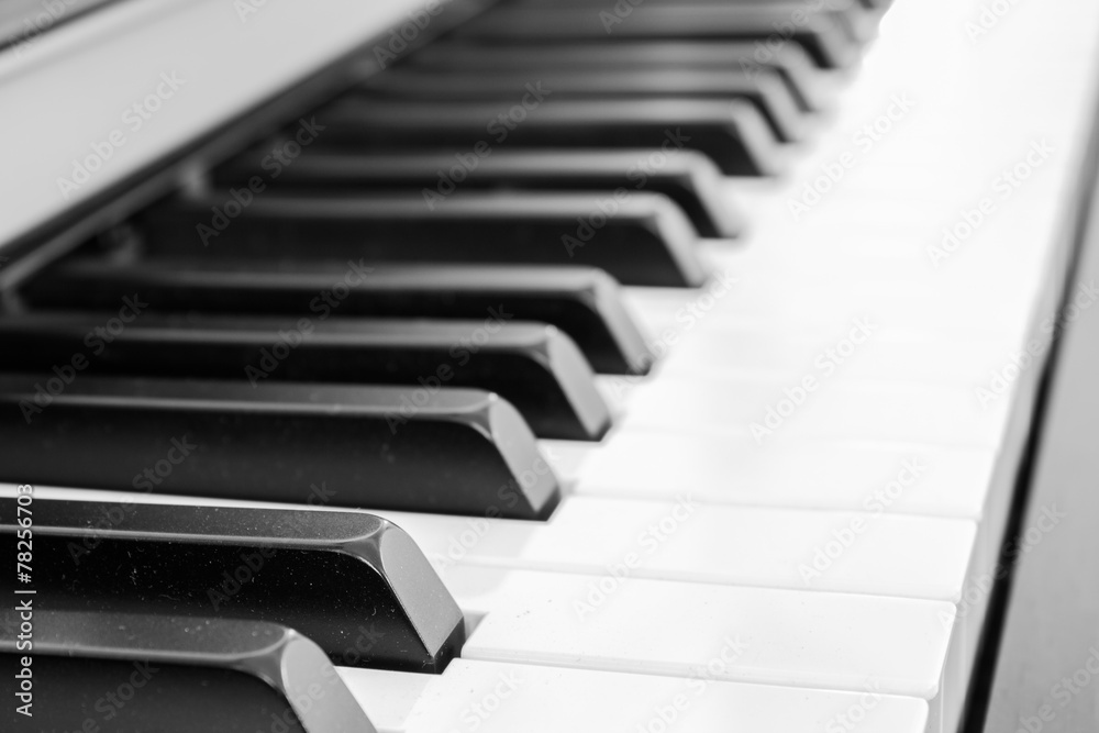piano keys piano keys