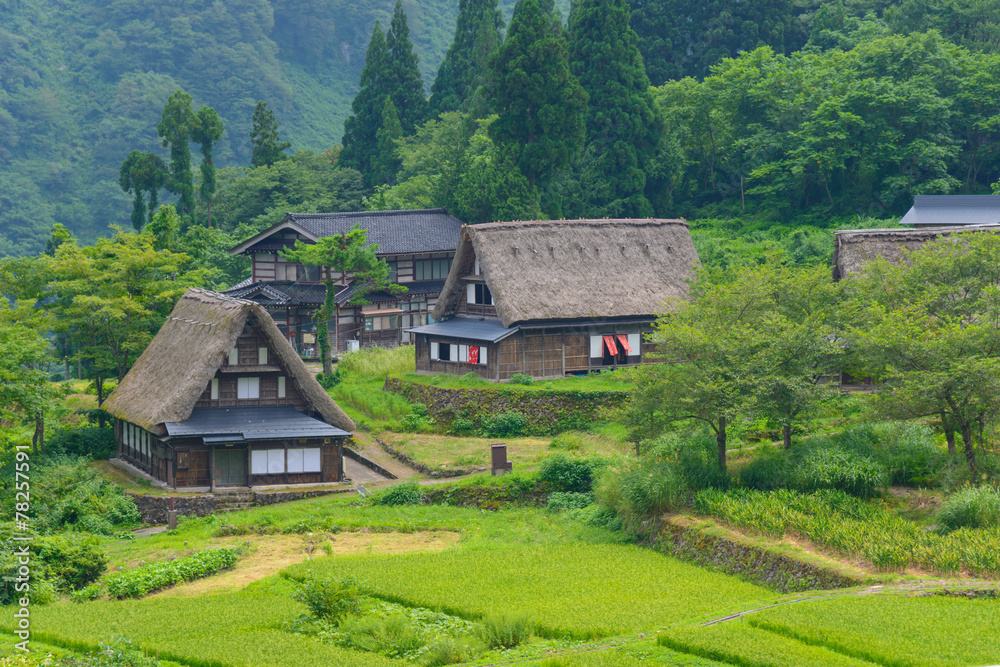 Historic Village of Gokayama in summer, Ainokura Gassho-zukuri v Historic Village of Gokayama in summer, Ainokura Gassho-zukuri v