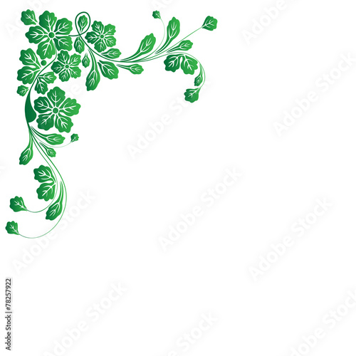 Florale Ornamente / Hintergrund