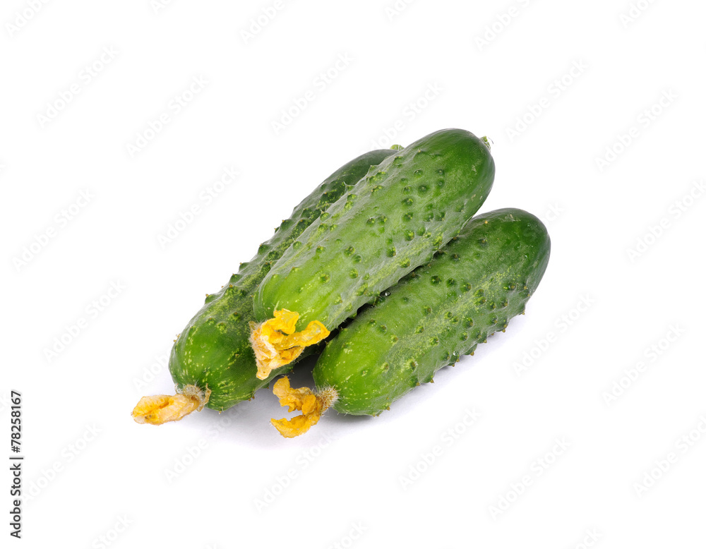 green cucumber\ green cucumber\