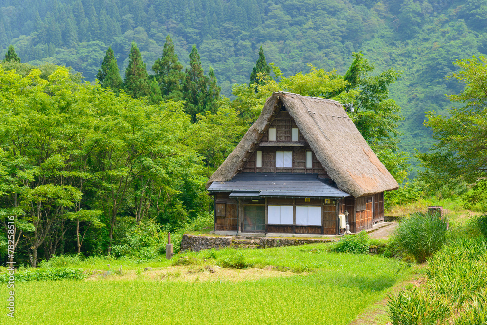 Historic Village of Gokayama in summer, Ainokura Gassho-zukuri v Historic Village of Gokayama in summer, Ainokura Gassho-zukuri v
