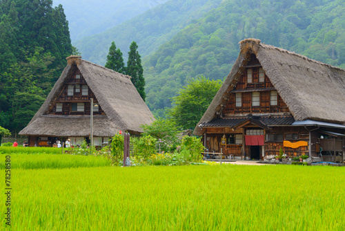 Historic Village of Gokayama in summer, Suganuma Gassho-zukuri v photo