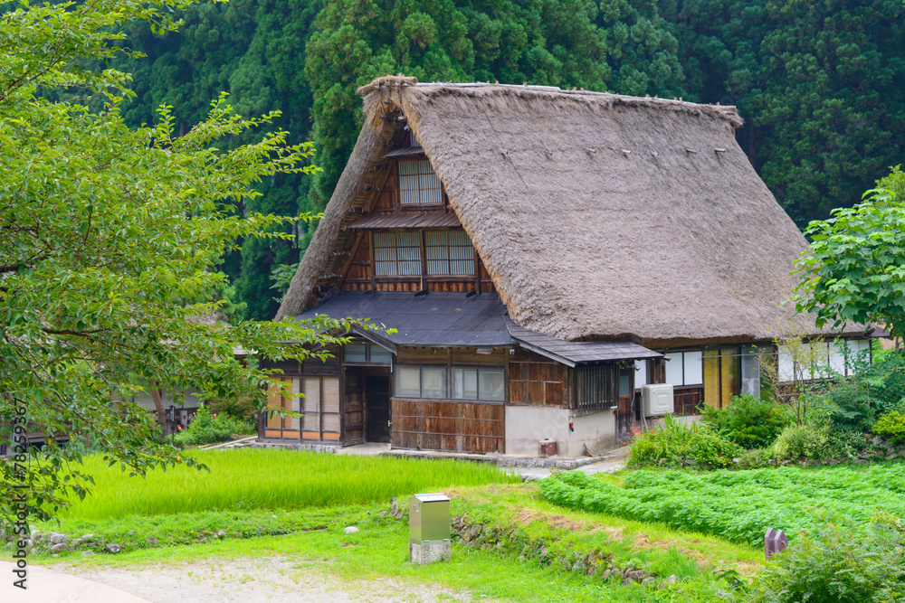 Historic Village of Gokayama in summer, Suganuma Gassho-zukuri v Historic Village of Gokayama in summer, Suganuma Gassho-zukuri v