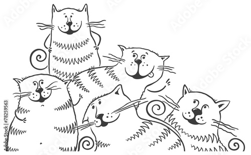 Black and white cats