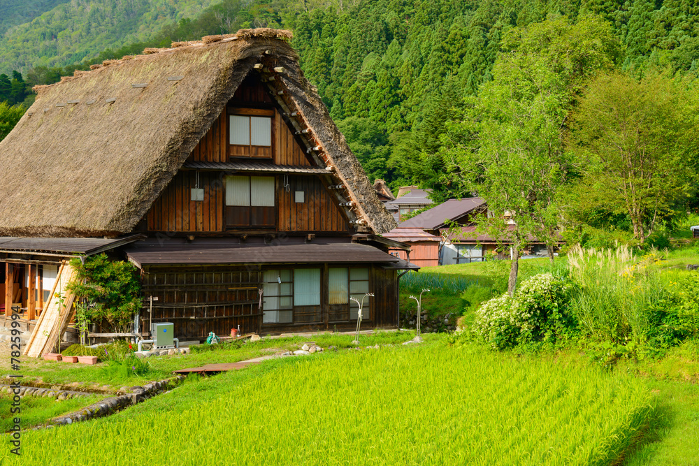 Historic Village of Shirakawa-go in summer Historic Village of Shirakawa-go in summer