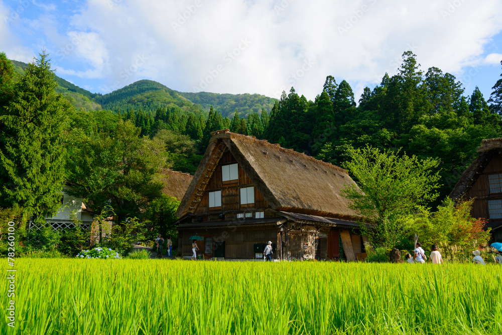 Historic Village of Shirakawa-go in summer