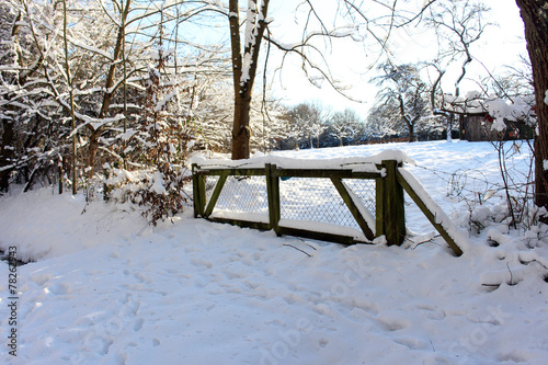 Gartentor im Schnee