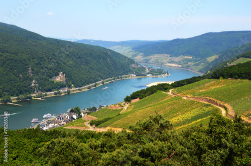 Rhine valley in Rudesheim