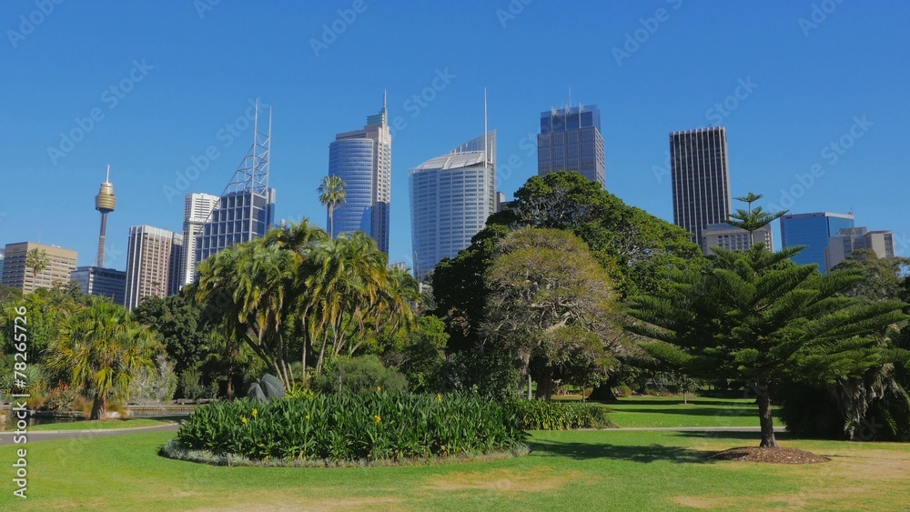 Sydney City Skyline, Royal Botanic Garden Sydney City Skyline, Royal Botanic Garden