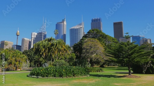 Sydney City Skyline, Royal Botanic Garden