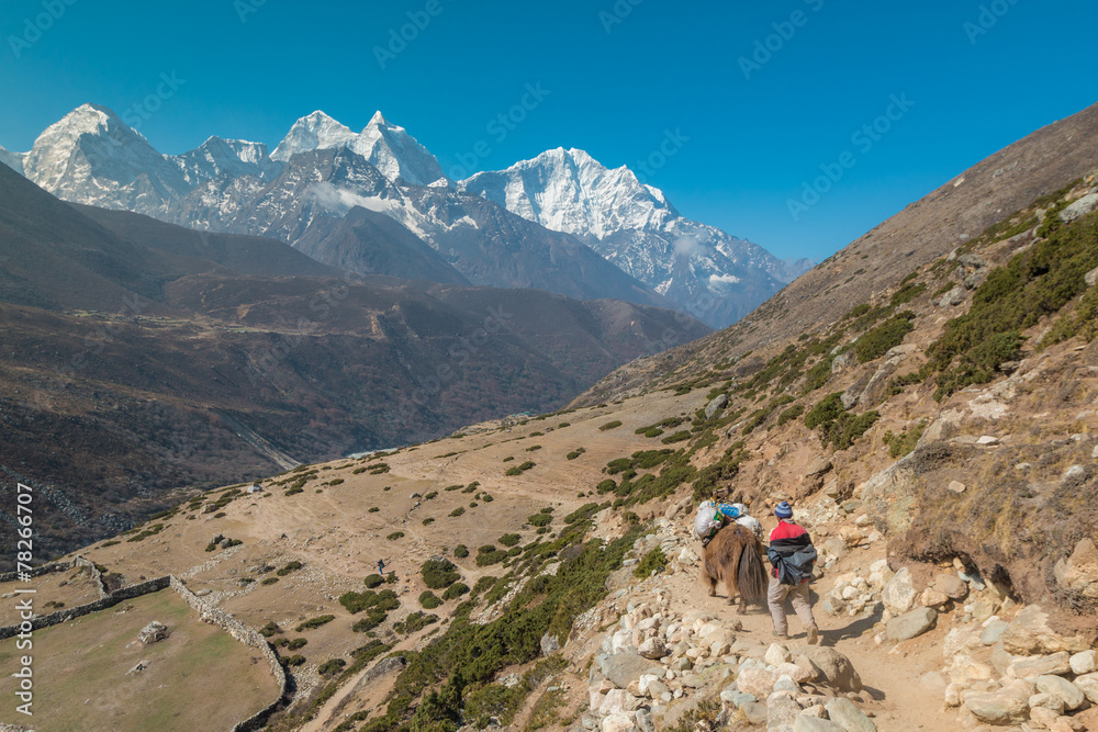 Mount Everest Base Camp Trek in Nepal