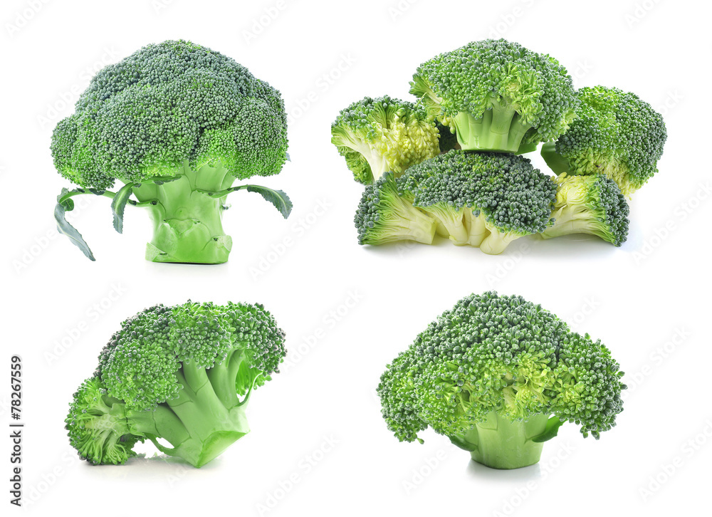 Broccoli isolated on white background Broccoli isolated on white background