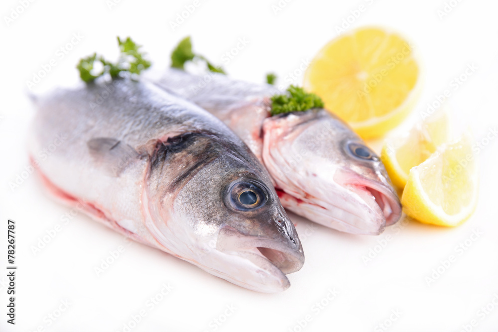 fresh fish fresh fish