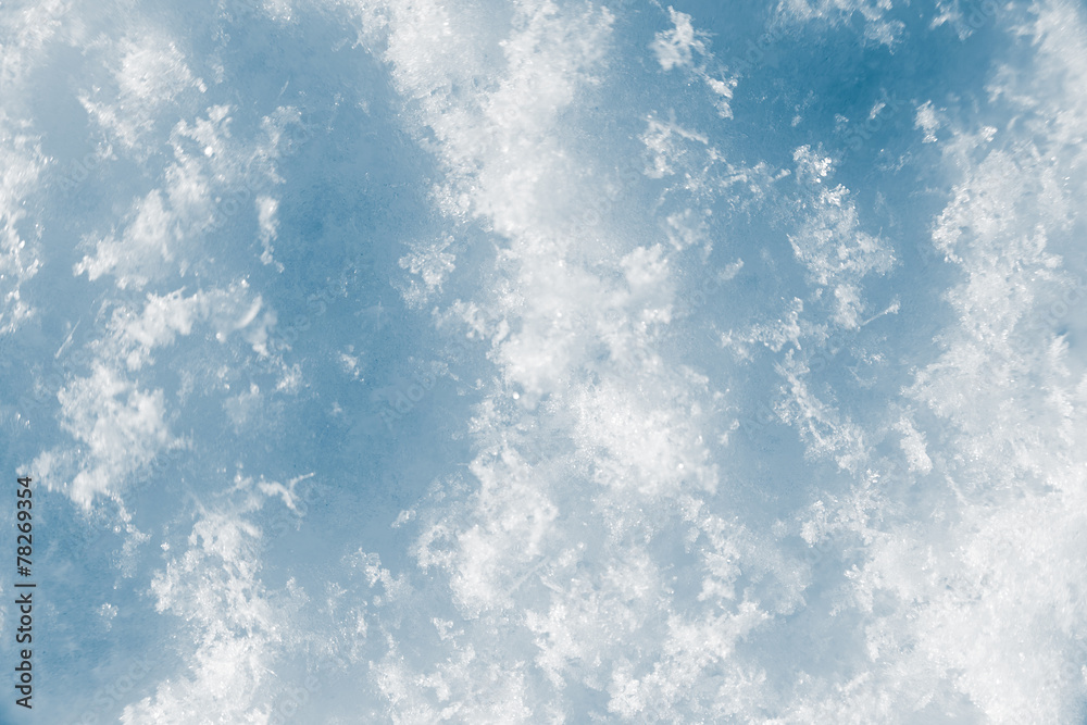 snow as a background. close-up