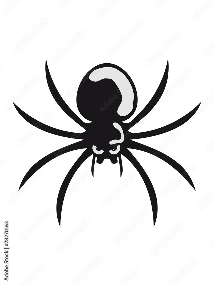 Insect spider dangerous