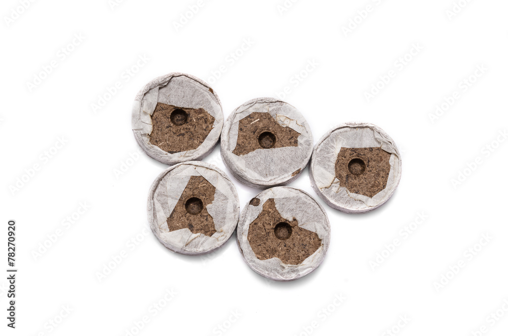 Peat tablets for seedlings Peat tablets for seedlings