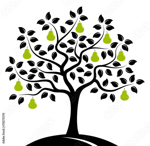 pear tree