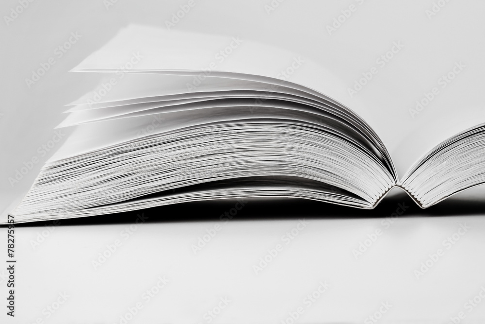 Obraz premium Blank book