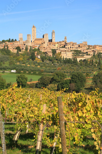 Toscana,San Gimignano,vigneti in autunno. photo