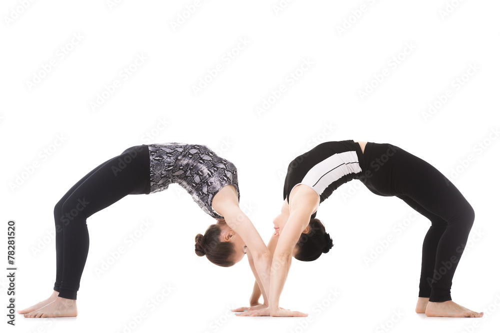 Naklejka premium Two Yogi female partners in yoga asana dhanurasana