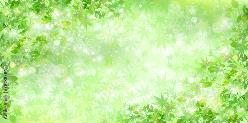 葉　新緑　背景