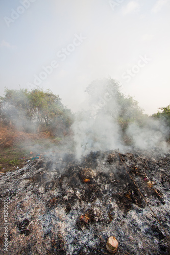 wildfire or forest fire in the nature