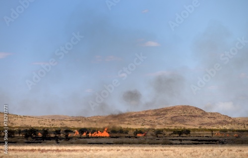 Australian Bushfire