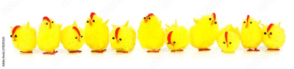 Row of fuzzy toy Easter chicks forming a border