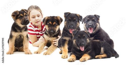 child and a group of puppies
