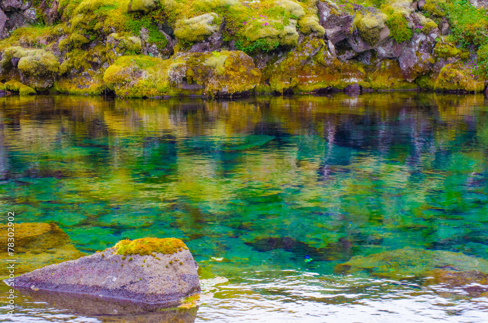 Fototapeta premium Pingvellir - Nationalpark Iceland