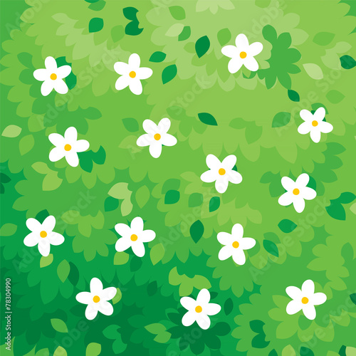 Fototapeta Naklejka Na Ścianę i Meble -  leaf green and white flower