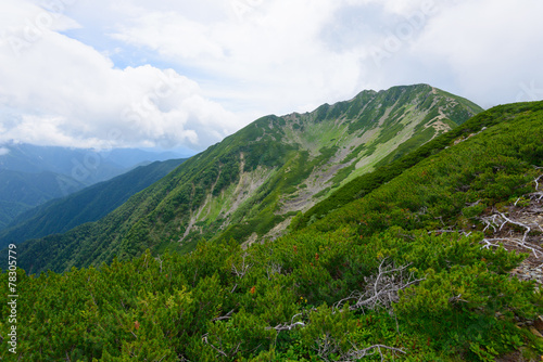 Mt.Senjo in the Southern Japan Alps  Nagano and Yamanashi  Japan