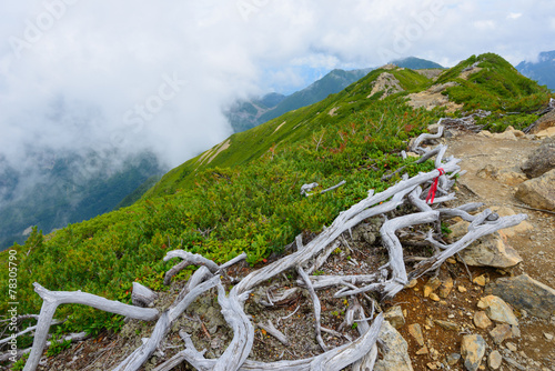 Mt.Senjo in the Southern Japan Alps, Nagano and Yamanashi, Japan photo