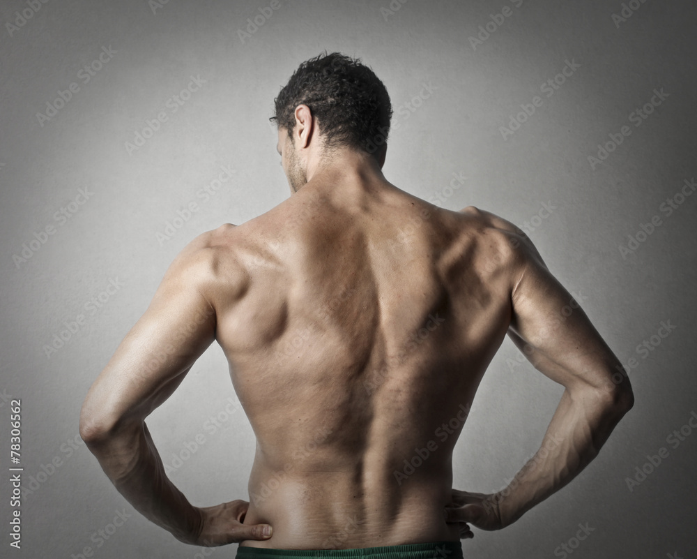 Obraz premium Muscular back