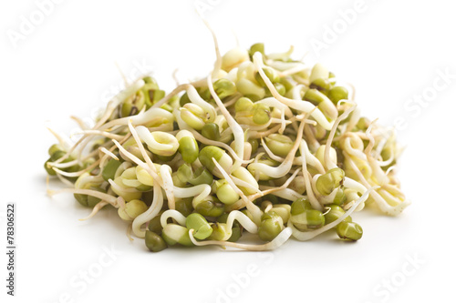 Sprouted mung beans photo