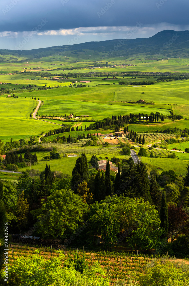 Fototapeta premium Toscana