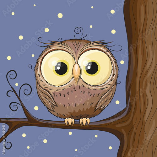 Owl on a brunch