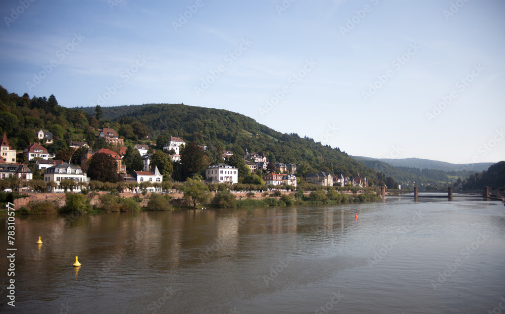 River through Heidelberg