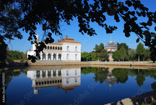 Белый дворец Ситораи Мохи-Хоса на берегу с деревом