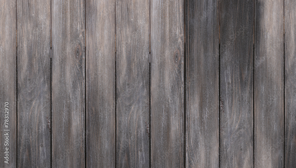 Fototapeta premium Wood texture close-up