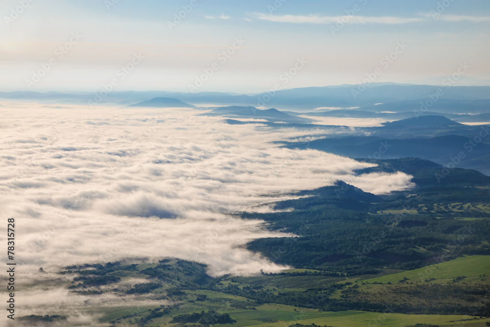 Mystical fog in the spring