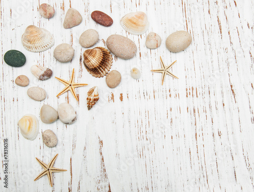 background with seashells and starfishes