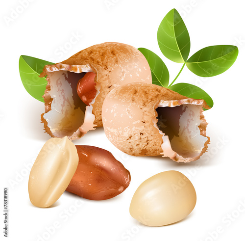 Peanuts with kernels