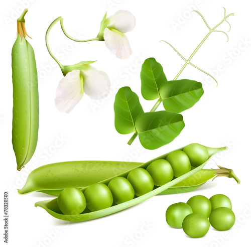 Green peas