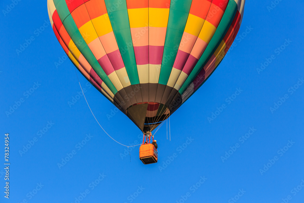 Fototapeta premium Hot air Balloon