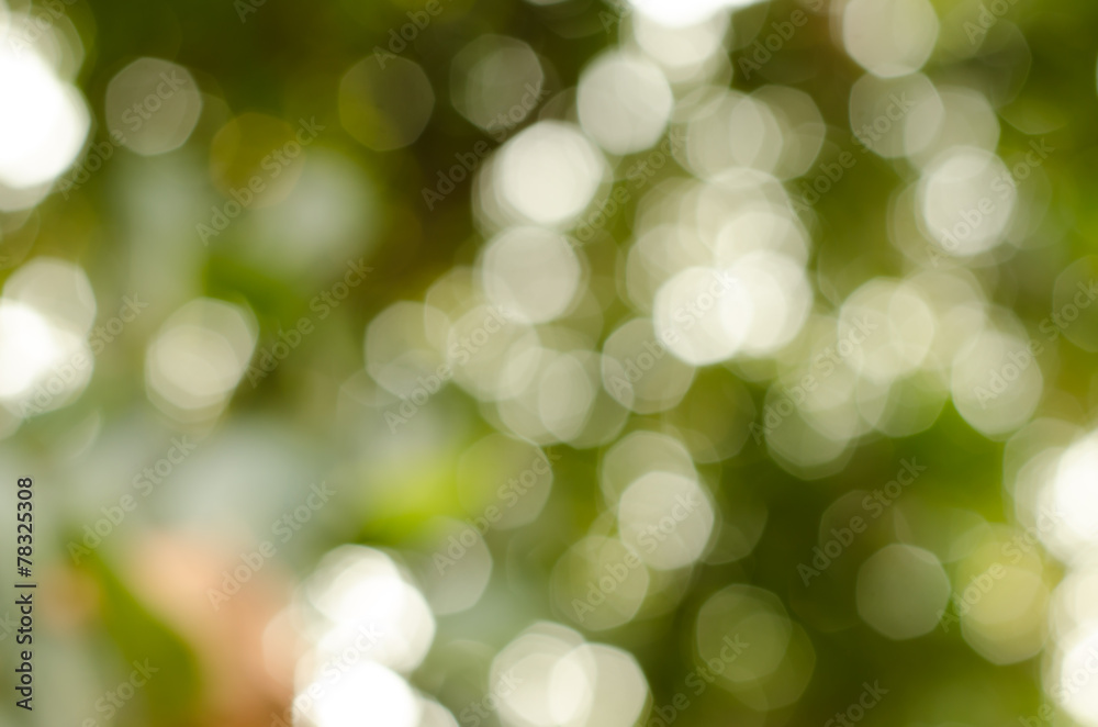 Obraz premium Abstract nature blur