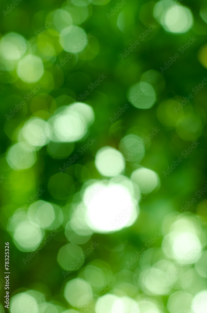 Abstract nature blur Abstract nature blur