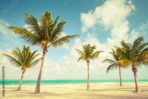 Fototapeta Naklejka Na Ścianę i Meble -  Palm trees grow on empty beach. Coast of Atlantic ocean