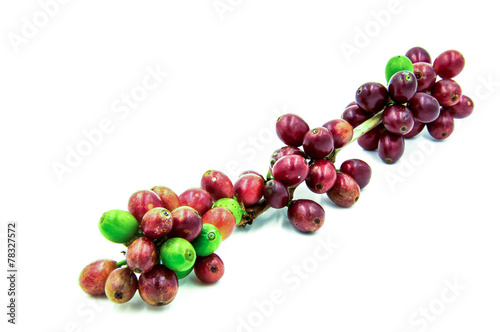 Fresh ripe red coffee beans on a white background.