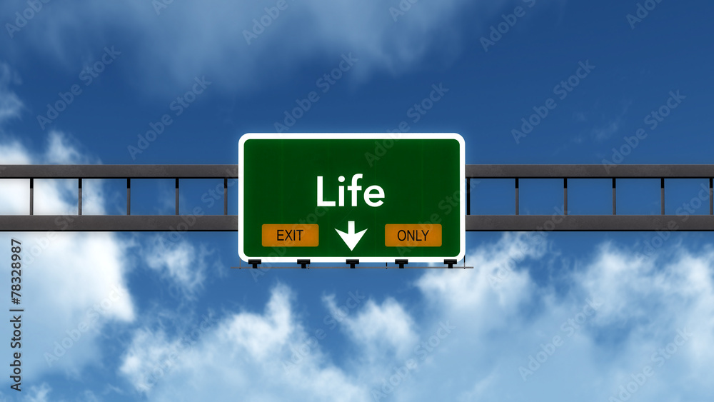 Life Highway Road Sign Exit Only Concept 3D Illustration